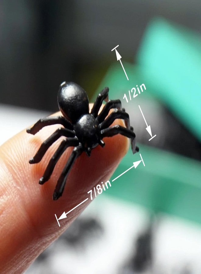 RillyRellow Miniature Black Spider Webs,Miniature Spiders,Fake Spider Webs,Halloween Miniatures,Dollhouse Halloween Craft Supplies,Terrarium, Diorama - Image 5